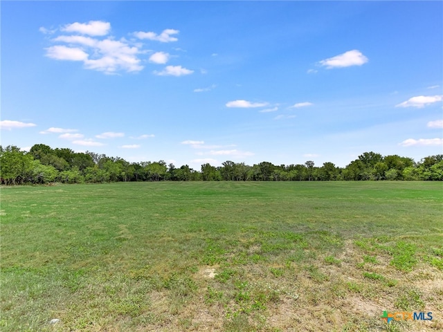 view of local wilderness featuring a rural view