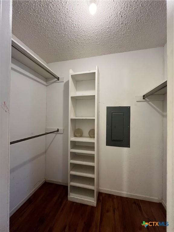 spacious closet featuring electric panel and dark wood-style floors