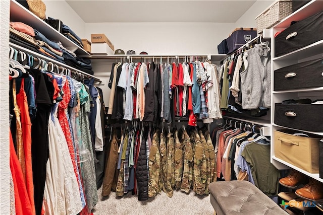 810 Mclaury Cv, Killeen, TX 76542 - view of spacious closet