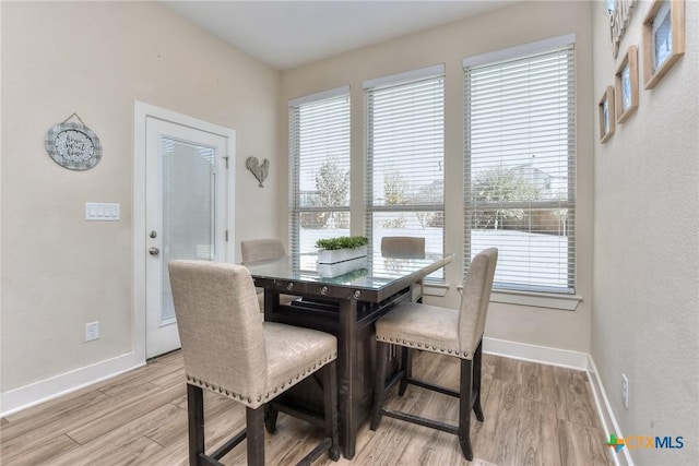 dining room with light hardwood / wood-style flooring