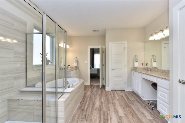 bathroom with vanity, wood-type flooring, plenty of natural light, and plus walk in shower