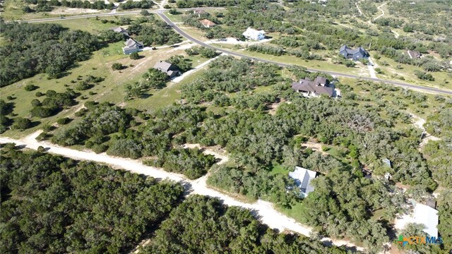 1534 Lake Ridge Blvd, Canyon Lake, TX 78133 - photo 8
