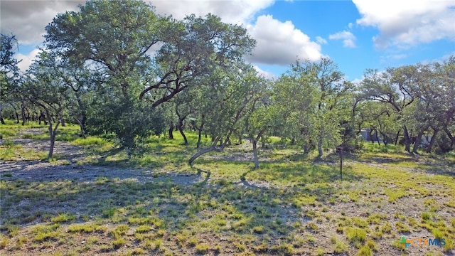1534 Lake Ridge Blvd, Canyon Lake, TX 78133 - photo 3