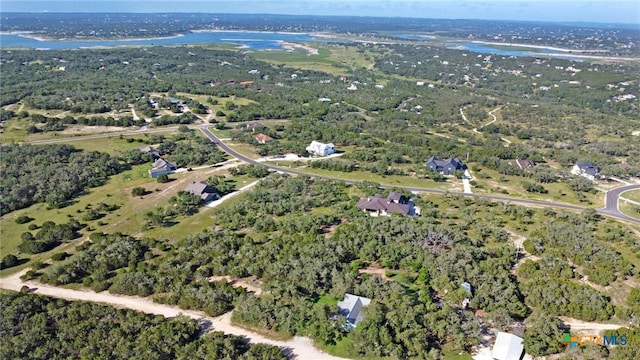1534 Lake Ridge Blvd, Canyon Lake, TX 78133 - photo 7