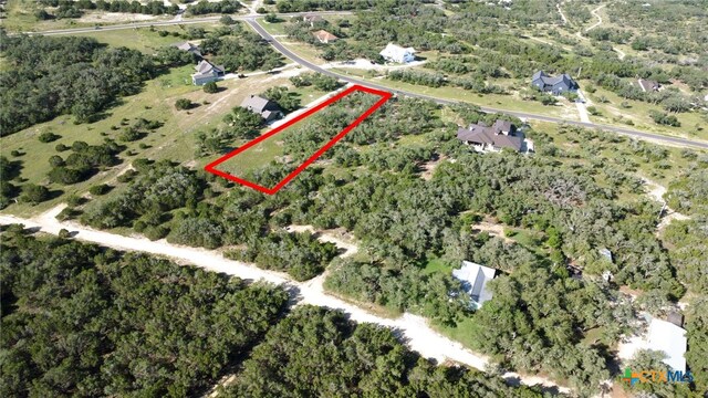 1534 Lake Ridge Blvd, Canyon Lake, TX 78133 - photo 9
