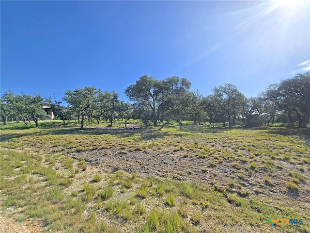 1534 Lake Ridge Blvd, Canyon Lake, TX 78133 - photo 1