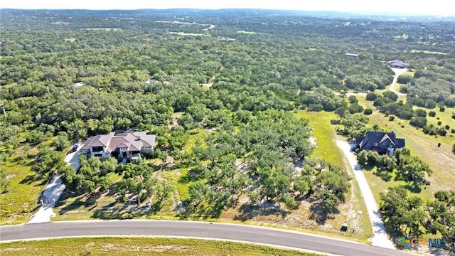 1534 Lake Ridge Blvd, Canyon Lake, TX 78133 - photo 4