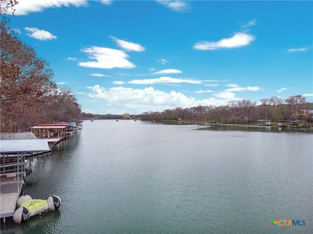 property view of water with a boat dock