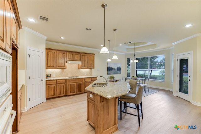 kitchen with sink, light wood-type flooring, decorative light fixtures, and a center island with sink