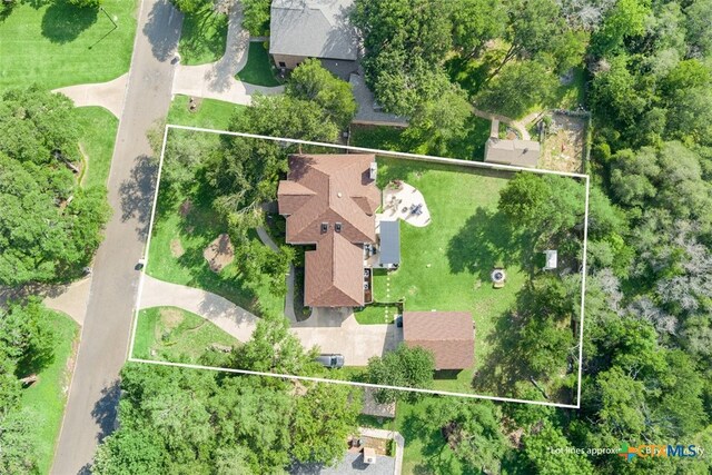 bird's eye view