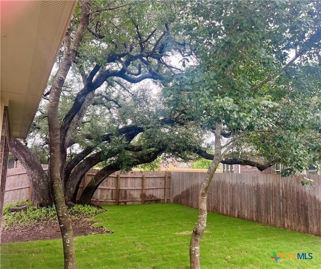 3137 Trinity Dr, Belton, TX 76513 - photo 19