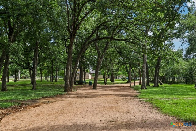 11611 Quarter Horse Trl, Austin, TX 78750 - view of property's community with a lawn