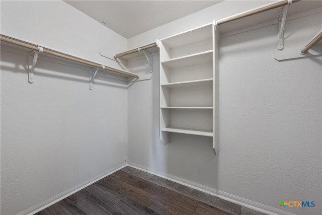 6008 Horne Dr, Killeen, TX 76542 - spacious closet featuring dark wood finished floors