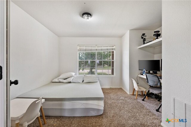 6008 Horne Dr, Killeen, TX 76542 - view of carpeted bedroom