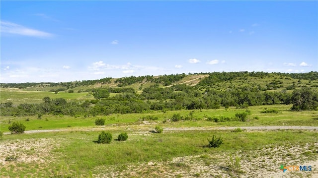 4747 Flat Creek Rd, Johnson City, TX 78636