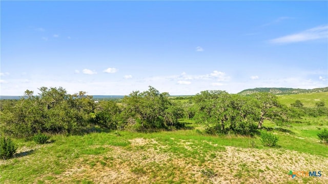 4747 Flat Creek Rd, Johnson City, TX 78636