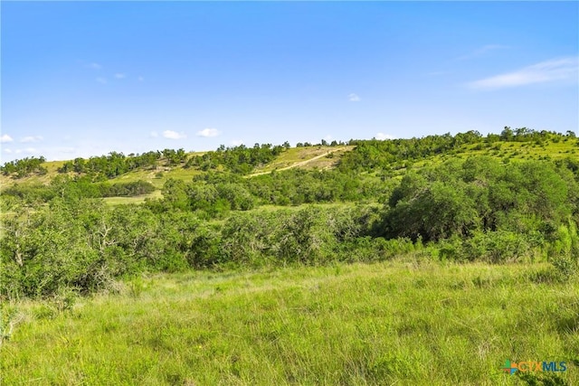 4747 Flat Creek Rd, Johnson City, TX 78636