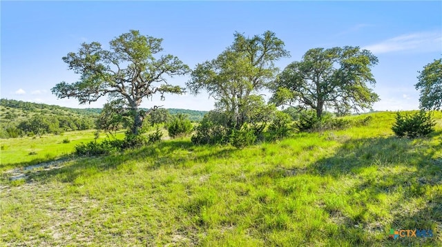 4747 Flat Creek Rd, Johnson City, TX 78636