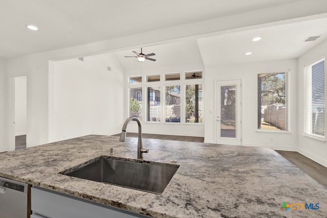 kitchen with a wealth of natural light, dark wood-type flooring, sink, and vaulted ceiling