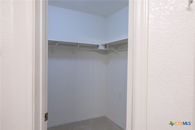 walk in closet featuring carpet floors