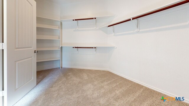 spacious closet featuring carpet floors
