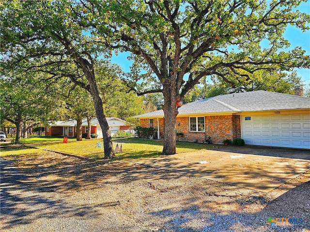 single story home featuring concrete driveway, an attached garage, brick siding, and a front yard