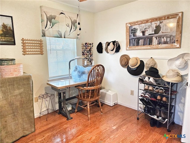 office featuring wood-type flooring