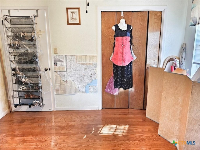 entryway with hardwood / wood-style flooring