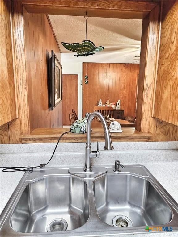 interior details with sink and wooden walls