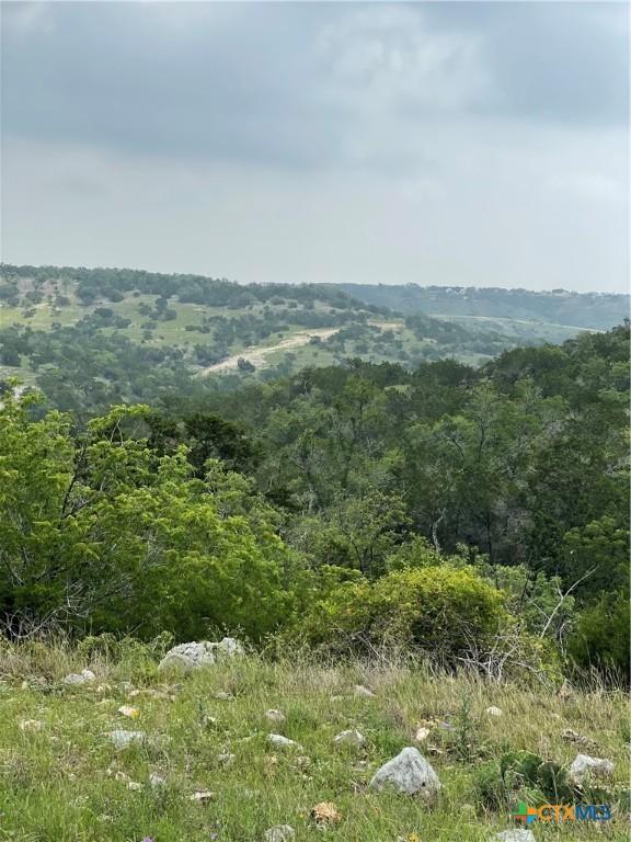 TBD W Starview Cv, Blanco, TX 78606