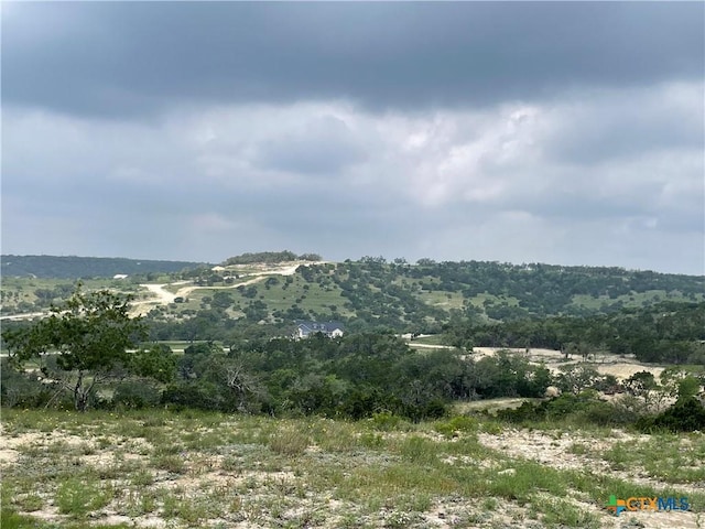 TBD W Starview Cv, Blanco, TX 78606