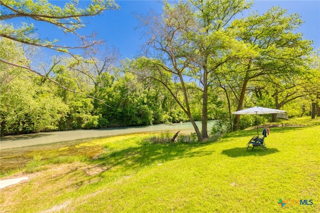 view of community featuring a yard and a view of trees