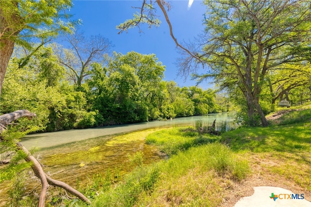 view of yard with a water view and a view of trees