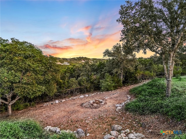 view of nature at dusk