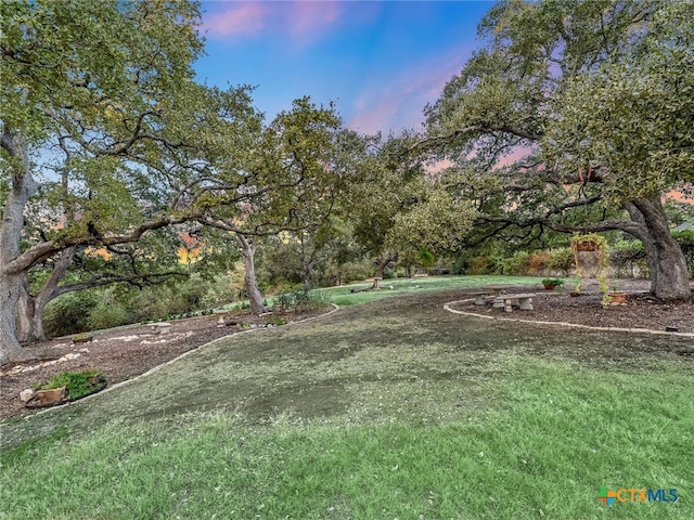 view of yard at dusk