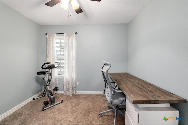 1506 Primrose Trl, Round Rock, TX 78664 - photo 20