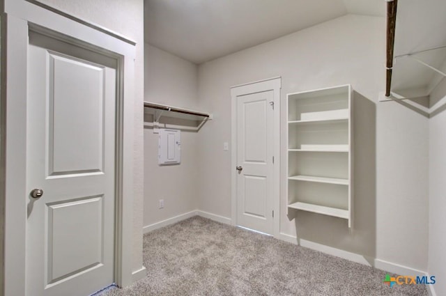 spacious closet featuring light carpet and vaulted ceiling