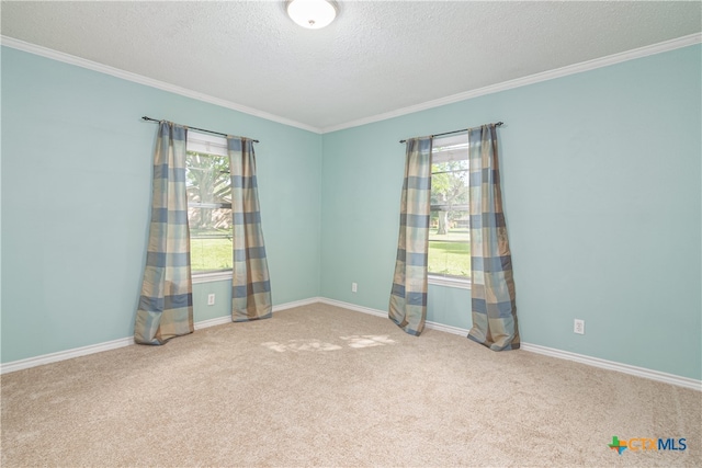 empty room featuring a wealth of natural light, a textured ceiling, light carpet, and crown molding