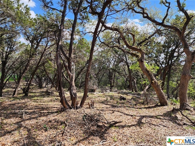 LOT18 Forest Lake Dr, Spring Branch TX, 78070 land for sale