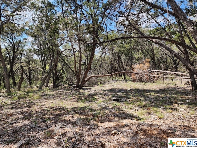 Listing photo 3 for LOT18 Forest Lake Dr, Spring Branch TX 78070