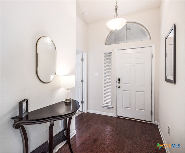 entryway with dark hardwood / wood-style flooring and a high ceiling