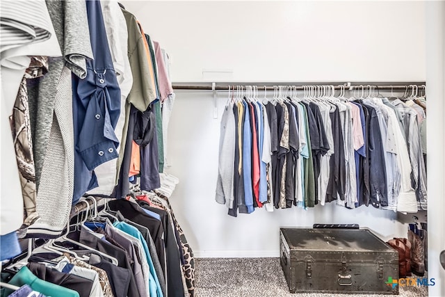 spacious closet featuring carpet floors