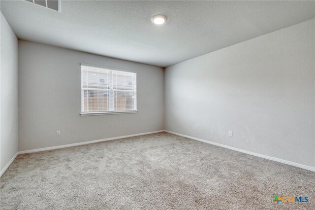 113 Finley Rae Dr, Georgetown, TX 78626 - photo 14