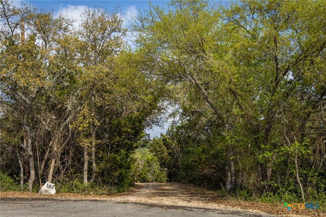 162 Teal Rdg, Canyon Lake, TX 78133 - photo 7
