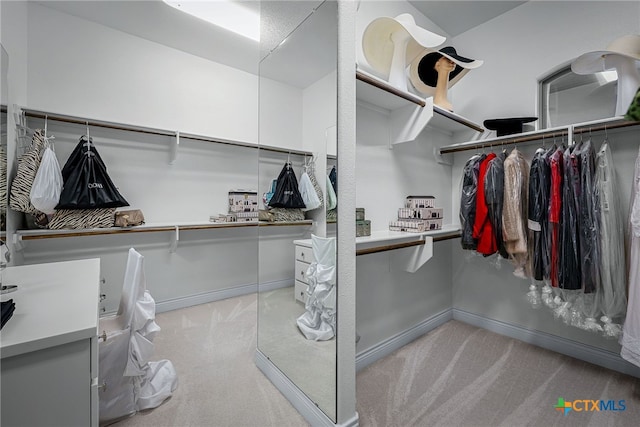 spacious closet with light carpet