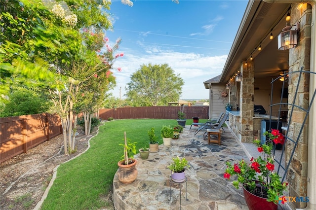 2299 Sun Chase Blvd, New Braunfels, TX 78130 - fenced backyard with a patio area