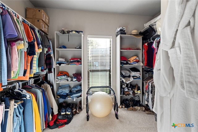 2299 Sun Chase Blvd, New Braunfels, TX 78130 - walk in closet with carpet
