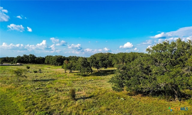 Listing photo 3 for 111 Sable Pass, Lampasas TX 76550