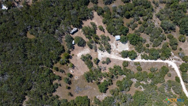 840 Forest View Dr, Blanco, TX 78606 - photo 4