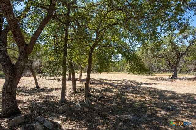 840 Forest View Dr, Blanco, TX 78606 - photo 11